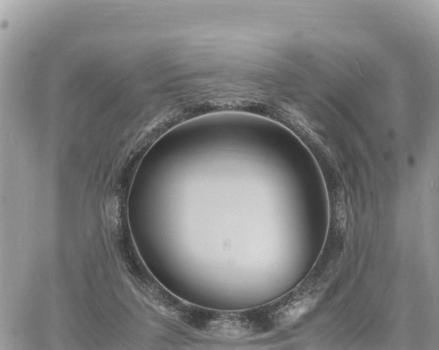 X0000060750211200511171131