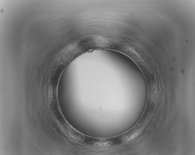 X0000060750213200511171131