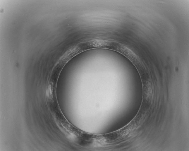 X0000060750214200511171131