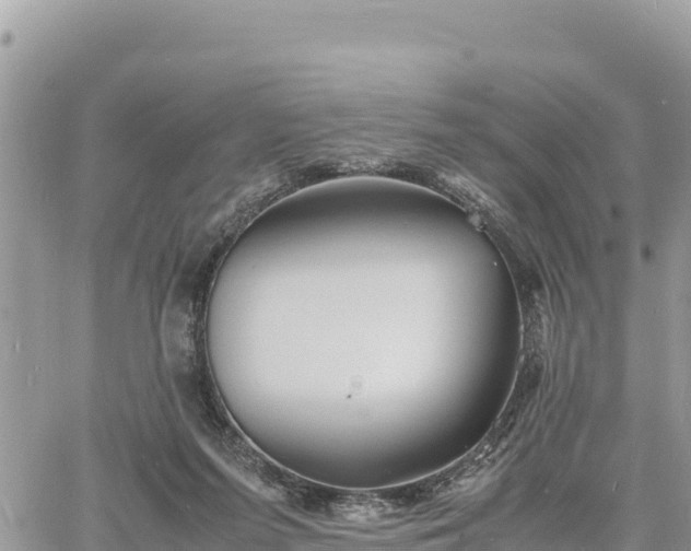 X0000060750215200511171131