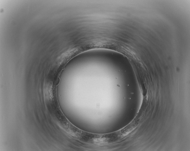 X0000060750216200511171131