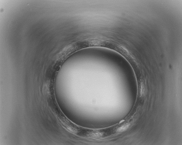 X0000060750217200511171131