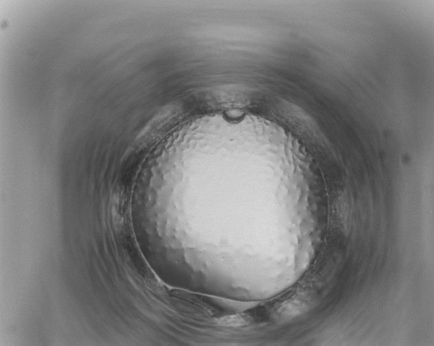 X0000060750218200511171131