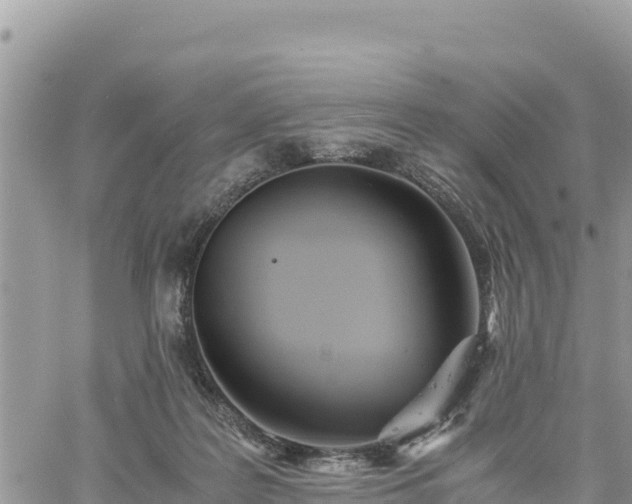 X0000060750219200511171131