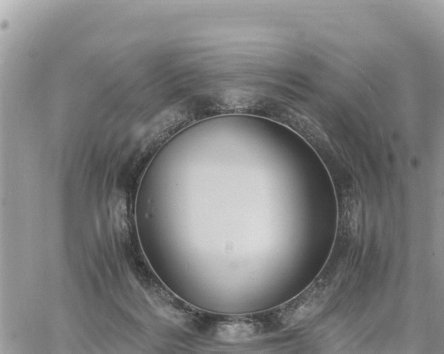 X0000060750220200511171131