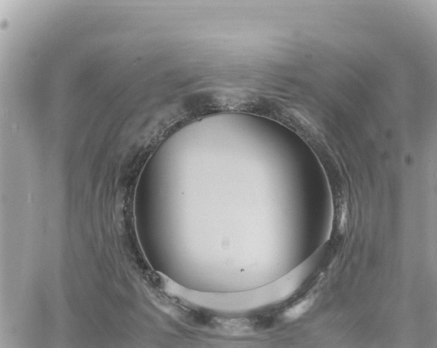 X0000060750221200511171131