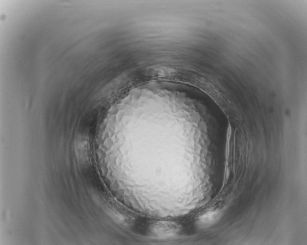 X0000060750222200511171131