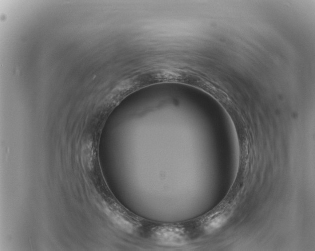 X0000060750223200511171131