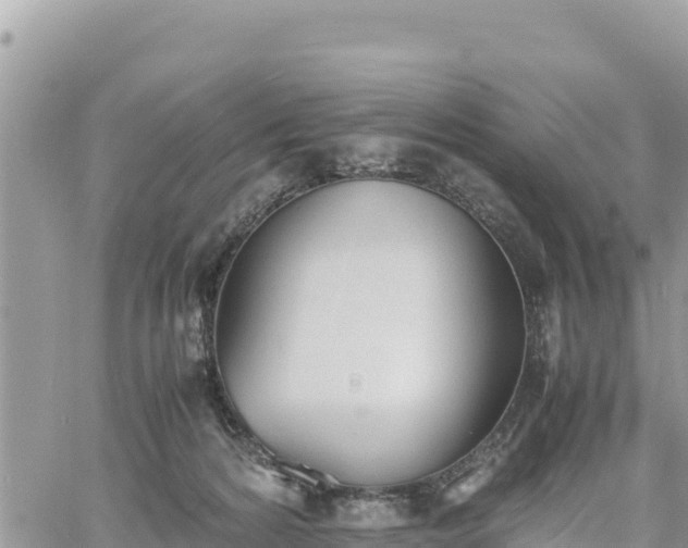 X0000060750224200511171131