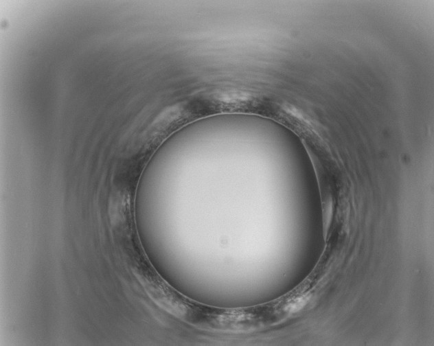 X0000060750225200511171131