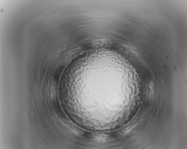 X0000060750226200511171131