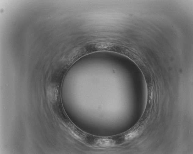 X0000060750227200511171131