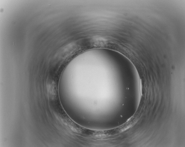 X0000060750228200511171131