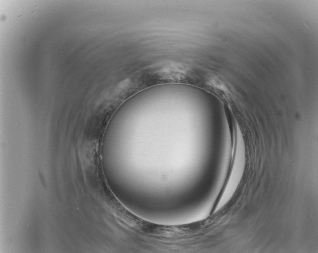 X0000060750229200511171131