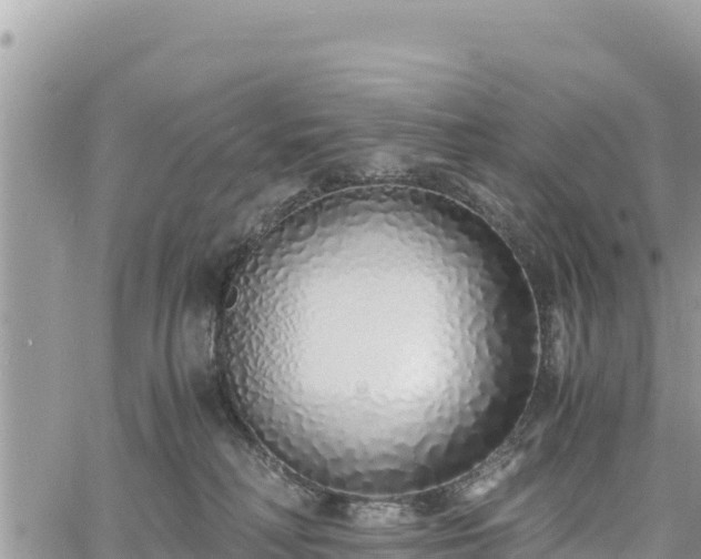 X0000060750230200511171131