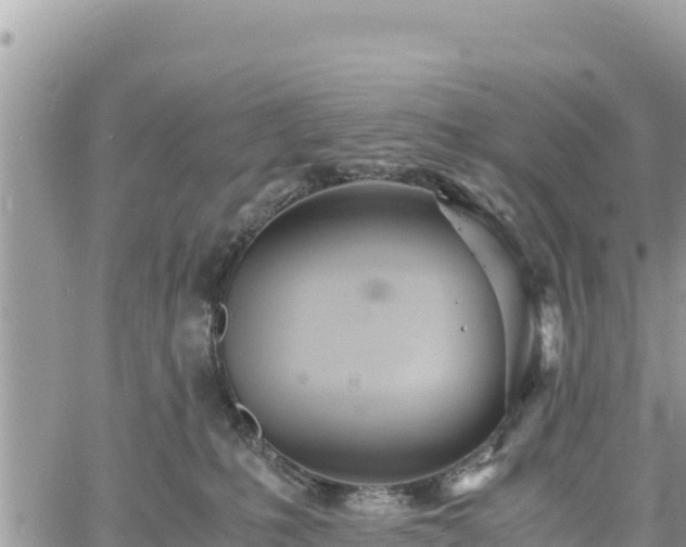 X0000060750231200511171130