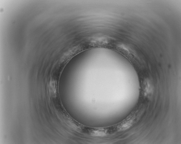 X0000060750232200511171130