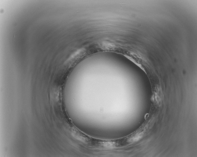 X0000060750233200511171130