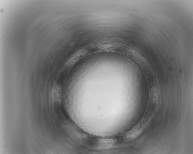 X0000060750234200511171130