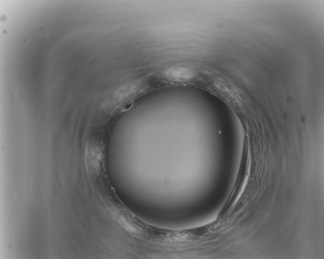 X0000060750235200511171130