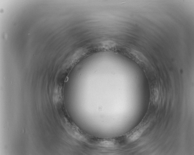 X0000060750236200511171130