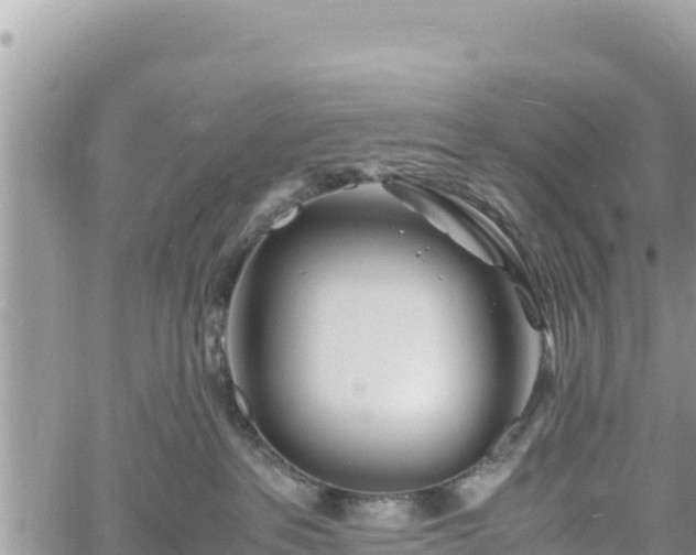 X0000060750237200511171130