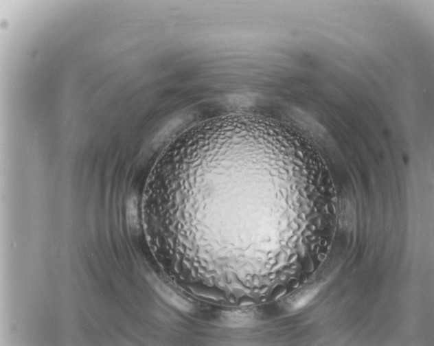 X0000060750238200511171130