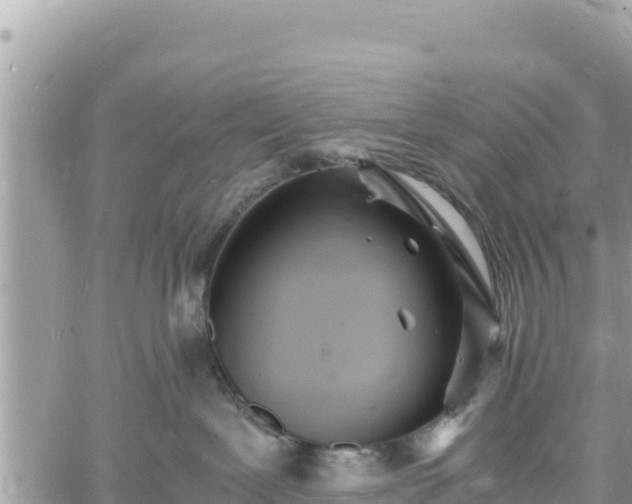 X0000060750239200511171130