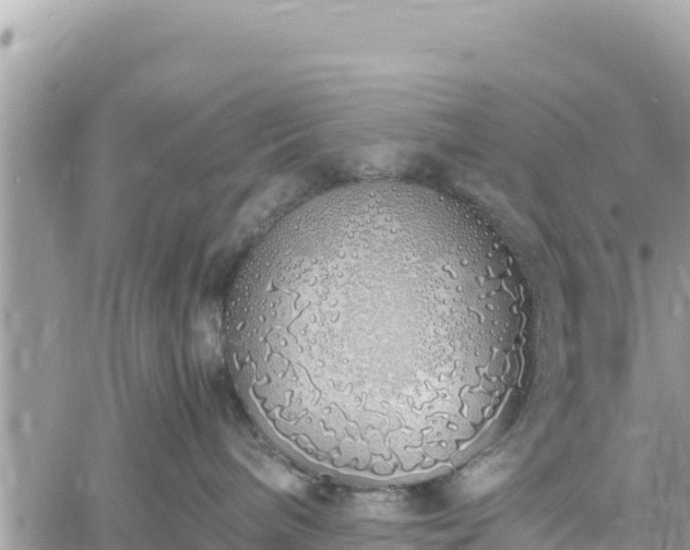 X0000060750240200511171130