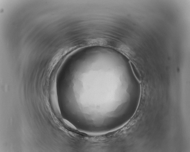 X0000060750241200511171130