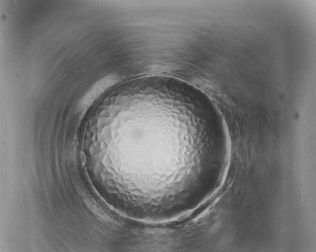 X0000060750242200511171130