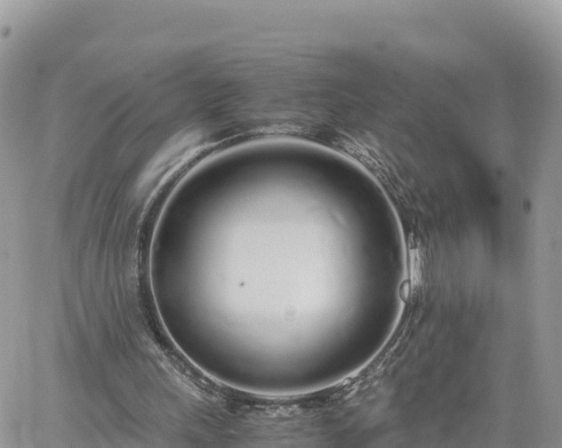 X0000060750243200511171130