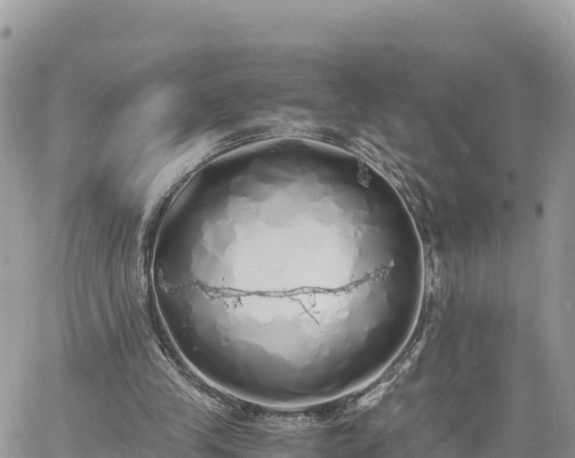 X0000060750245200511171130