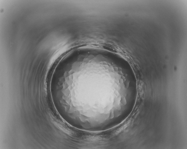 X0000060750246200511171130