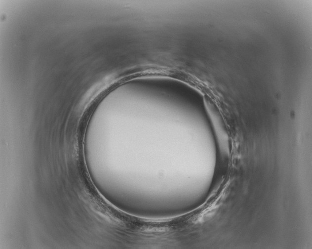 X0000060750247200511171130