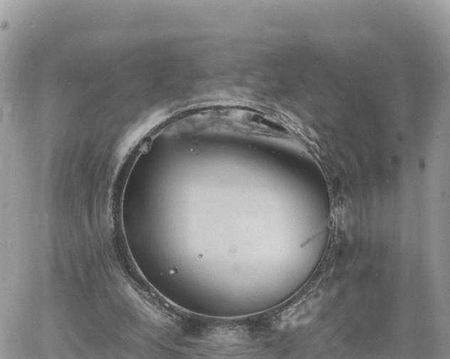 X0000060750248200511171130