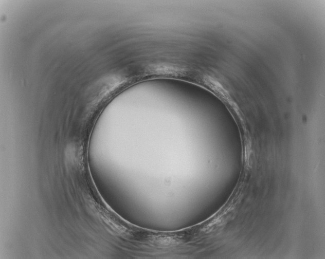 X0000060750249200511171130