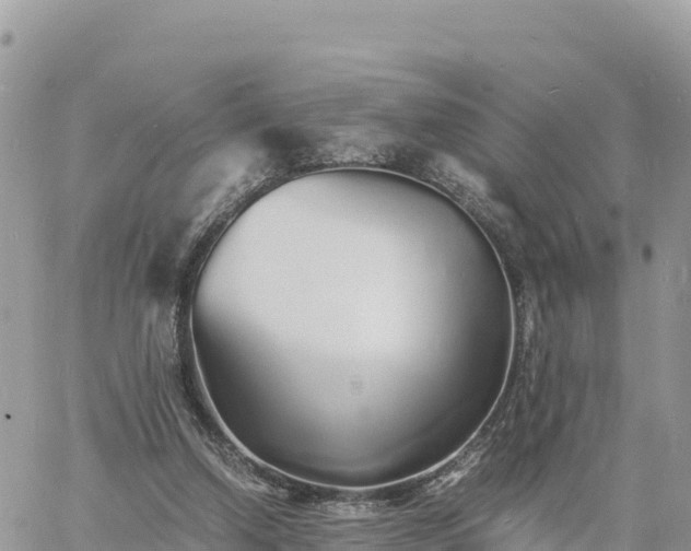 X0000060750250200511171130