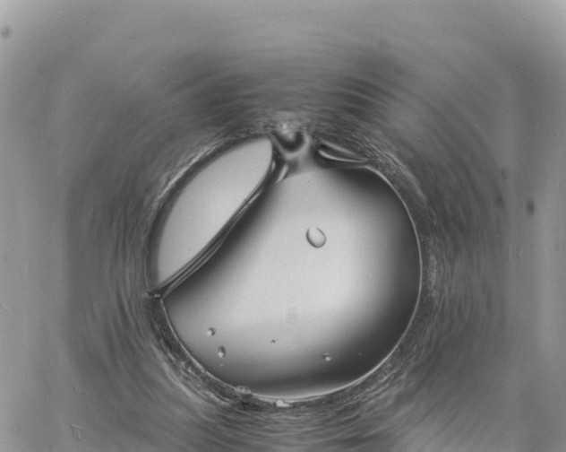 X0000060750251200511171130