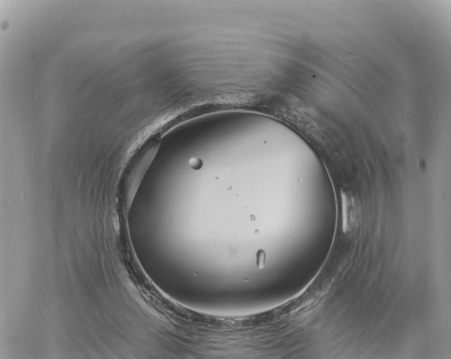 X0000060750252200511171130