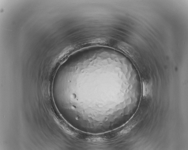 X0000060750253200511171130