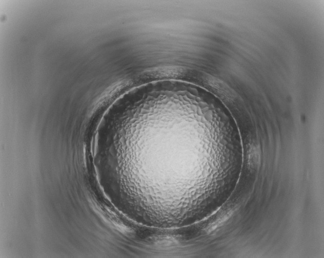 X0000060750254200511171130