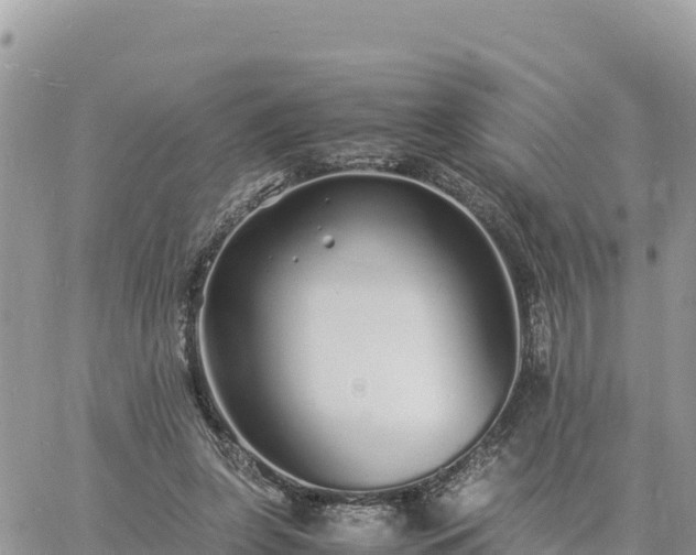 X0000060750255200511171130