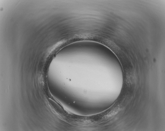 X0000060750256200511171130