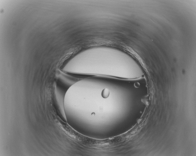 X0000060750257200511171130