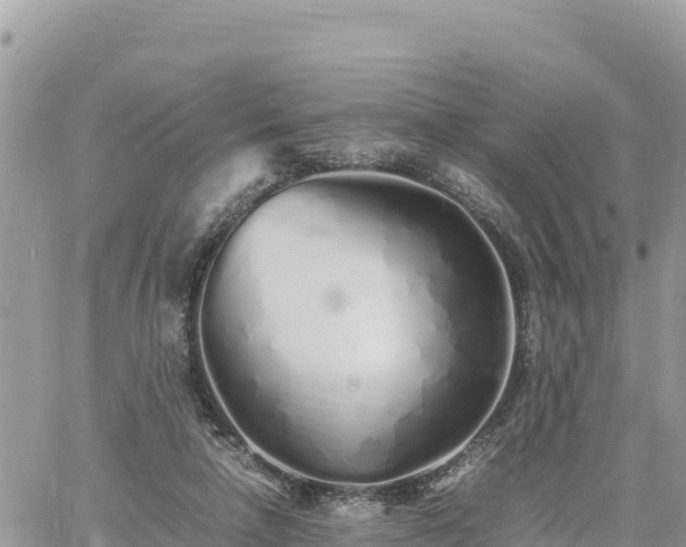 X0000060750258200511171130