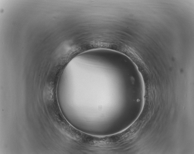 X0000060750259200511171130