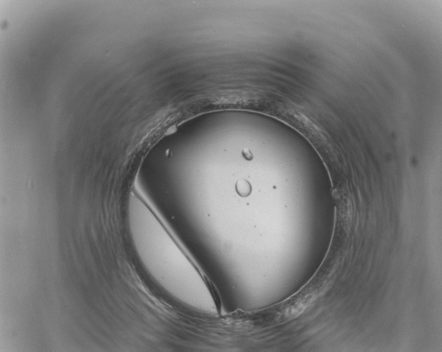 X0000060750261200511171130