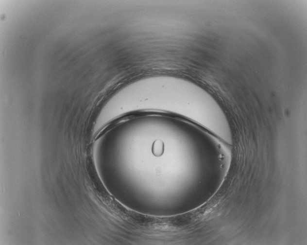 X0000060750262200511171130