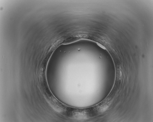 X0000060750263200511171130